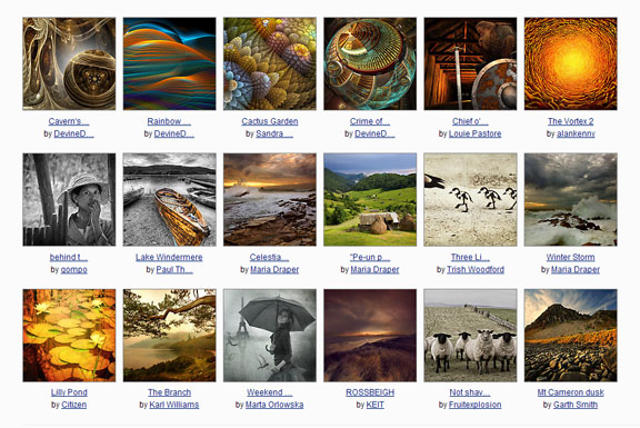 Redbubble Favorites by Sarah Curtiss